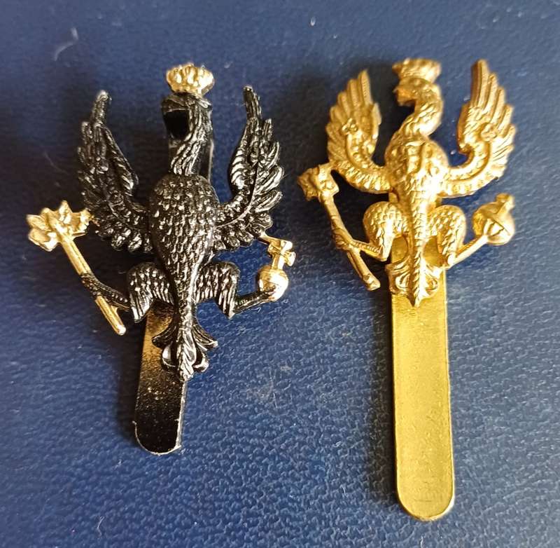 British Army: 14 / 20th Kings Hussars 2 x cap badge, one GM with FR on chest & one black anodised