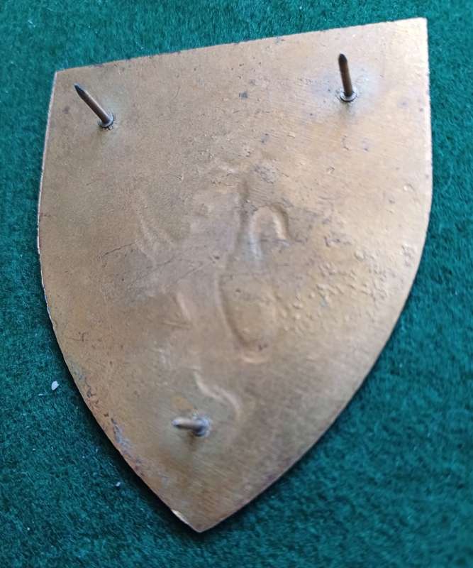 SADF Cape Field Artillery flash, all pins