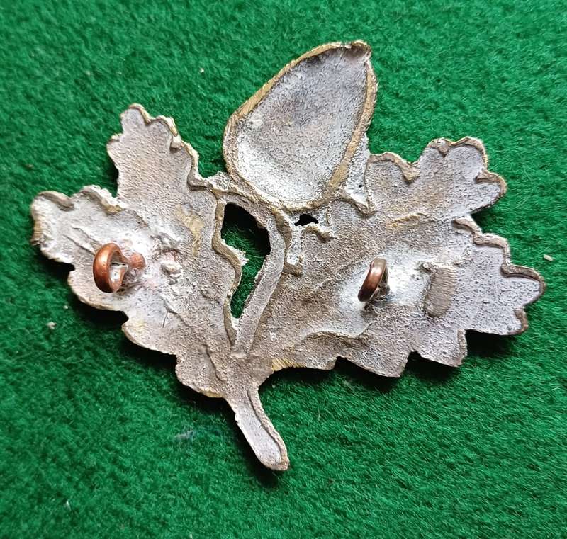 British Army South Notts Hussars cap badge