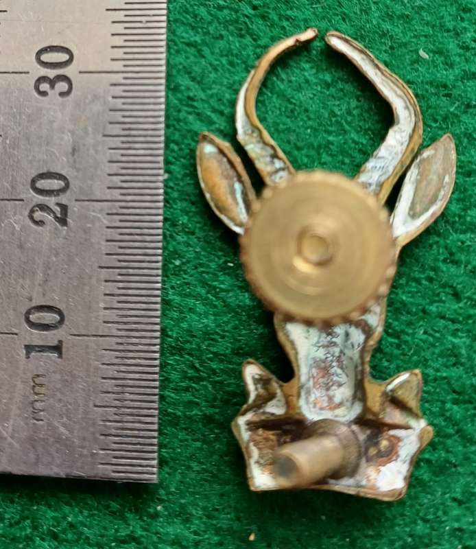 SADF Bokkop small  brass beret badge with screw posts