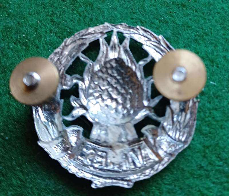 SADF Regt Boland chrome beret badge, voided