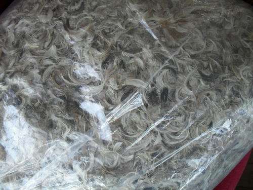 REAL DOWNE FEATHERS -making/refilling pillows or duvets?