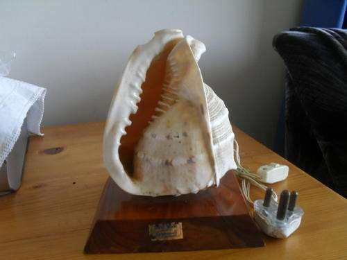 (45)A STRIKINGLY BEAUTIFUL SHELL LIGHT handmade Mauritius -LARGONAUTE -22cm high, base is 18x16x3cm
