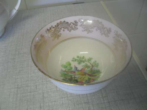 Gorgeous rare EB1850 Foley sugar basin- made in England - Birds of paradise