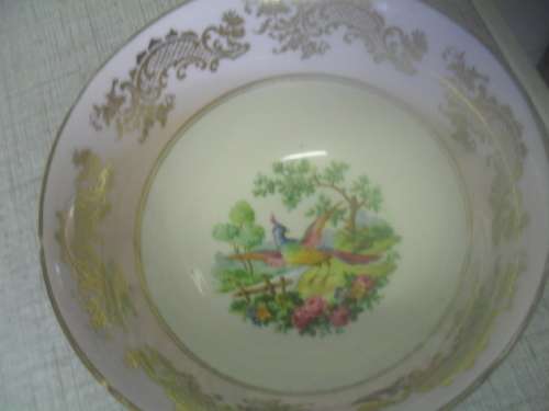 Gorgeous rare EB1850 Foley sugar basin- made in England - Birds of paradise