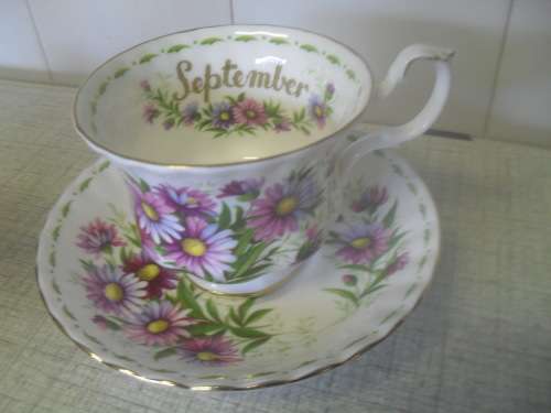 *#SPECIAL for 7 days ONLY*#. ROYAL ALBERT DUO, FLOWER OF THE MONTH - SEPTEMBER - Gold rim not worn.