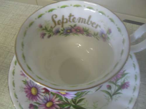 *#SPECIAL for 7 days ONLY*#. ROYAL ALBERT DUO, FLOWER OF THE MONTH - SEPTEMBER - Gold rim not worn.