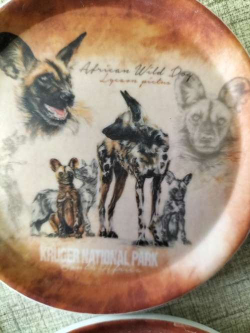 4x KRUGER NATIONAL PARK MELMINE COASTERS