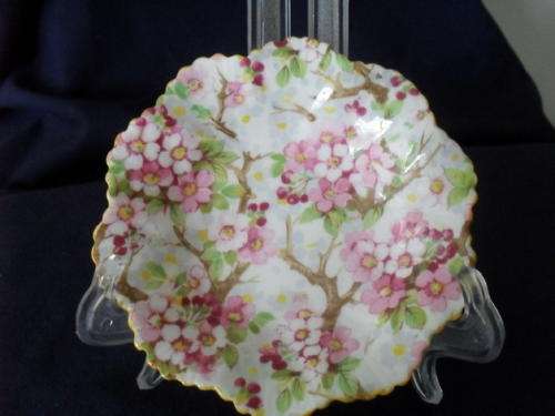 A BEAUTIFUL SHELLEY DISPLAY  PLATE -made in England