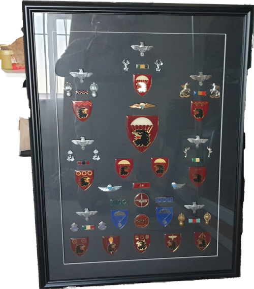 44 para badges and insignia