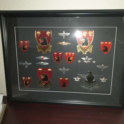 insignia