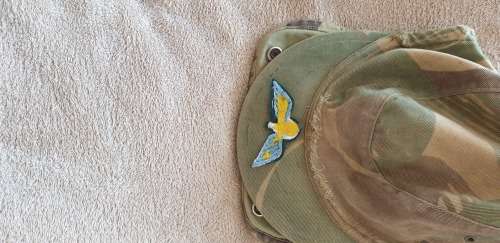 Rhodesian camo cap and para wings