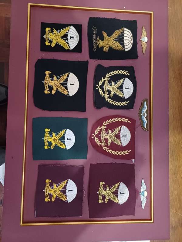 1 para blazer badgers framed