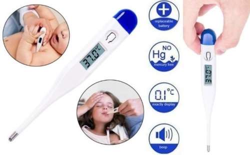 Casey Electronic Thermometer With Contact