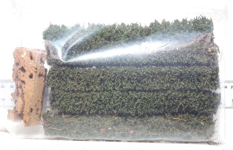 SCENERY HO: 5pc Defined Hedges + 1x Cork Rock in Good Bagged and used Condition