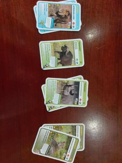 436 Pick 'n Pay Super Animals Trading Cards