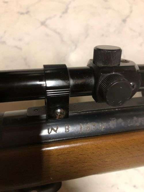 Pellet rifle