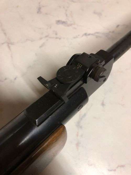 Pellet rifle