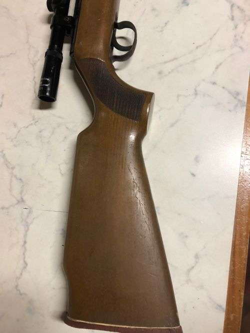Pellet rifle