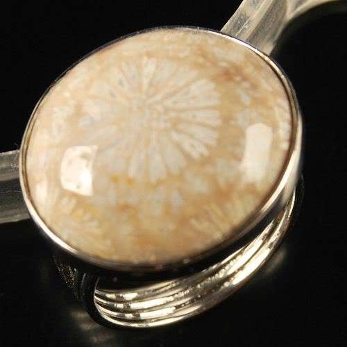 Coral Fossil Ring