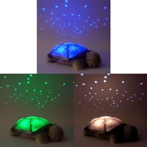 Music & Star Turtle