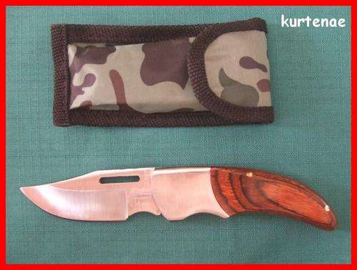 Fujunjie pocket Knife.U.S.A saber