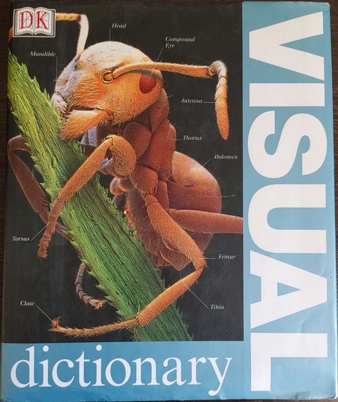 Visual Dictionary - HARD COVER