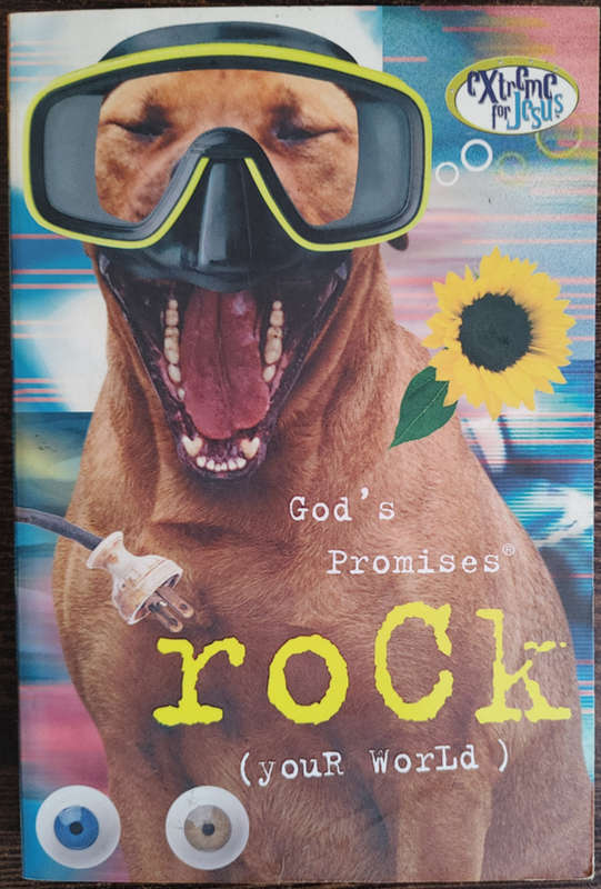 God`s Promises Rock (Your World) - SOFT COVER
