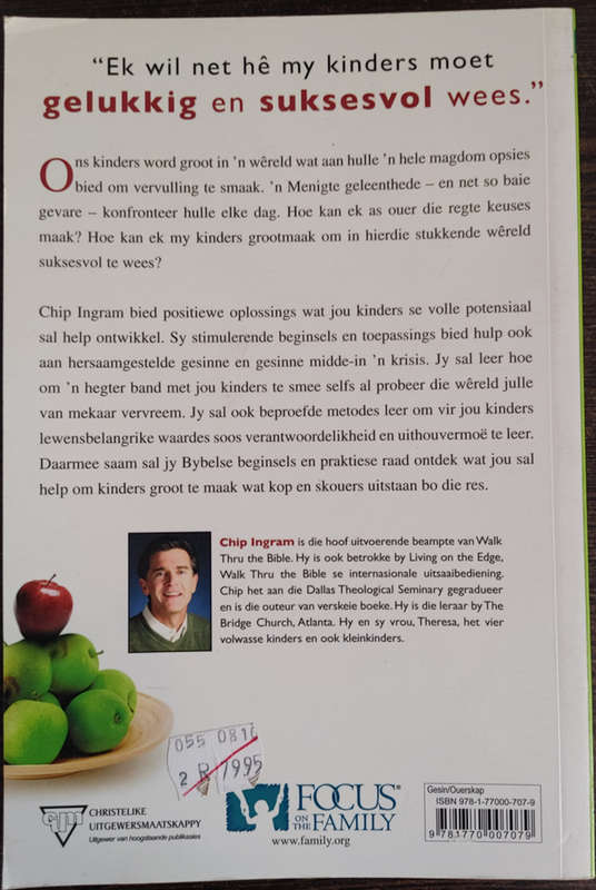 Suksesvolle ouerskap in `n stukkende wereld by Chip ingram - SOFT COVER