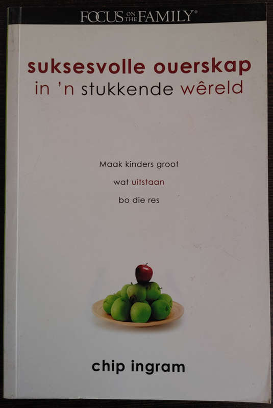 Suksesvolle ouerskap in `n stukkende wereld by Chip ingram - SOFT COVER