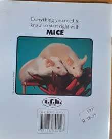 Your First Mouse by Nick C Mays - PAPERCOVER