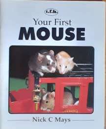 Your First Mouse by Nick C Mays - PAPERCOVER
