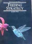 Feeding Strategy by Jennifer Owen - PAPERBACK