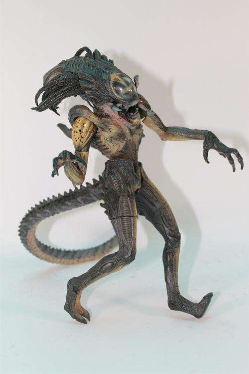 NECA  -  PREDALIEN - ALIEN HYBRID â 8 INCH