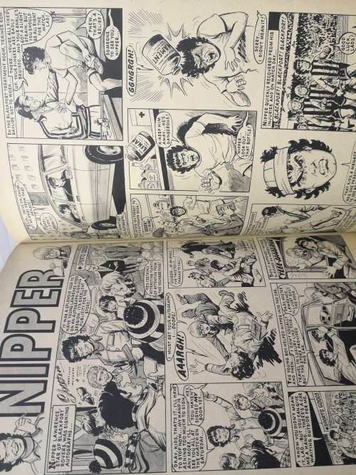 tiger annual 1981