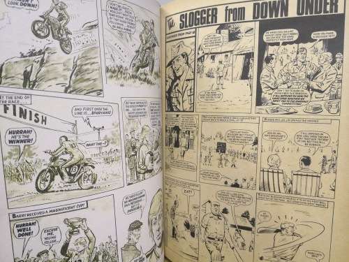 tiger annual 1981