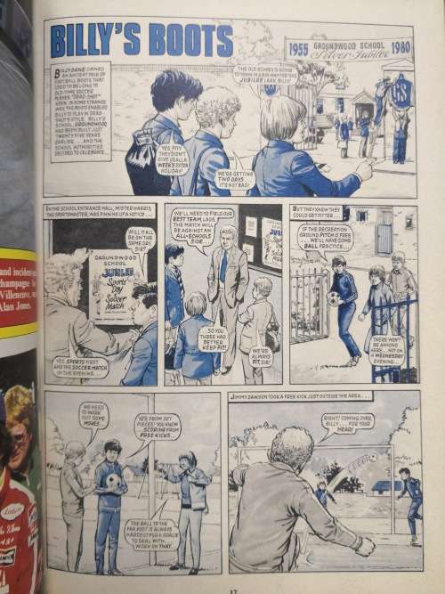 tiger annual 1981