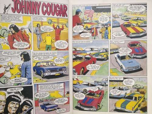 tiger annual 1981