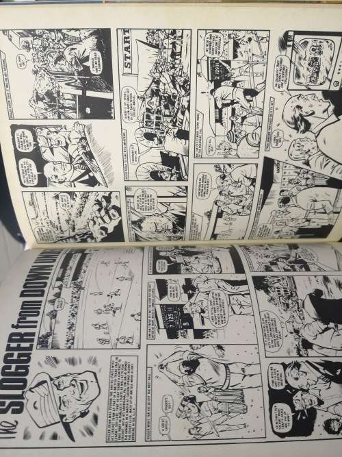 tiger annual 1983