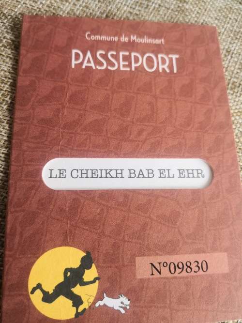 Tintin - In the land of Black Gold - Sheik Bab El Ehr - Insurgent