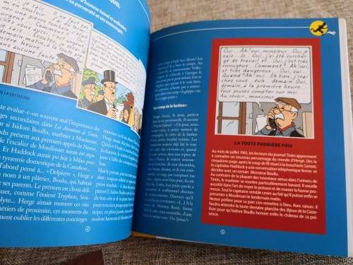 Tintin - The Castafiore Emerald - Monsieur Boullu - the marble worker - from page 62