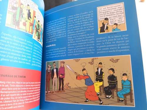 Tintin - The Blue Lotus - Didi - the crazy - from page 13