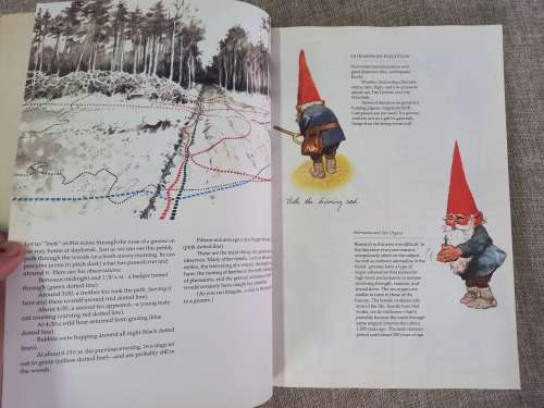 The #1 Bestseller Gnomes  - Forest Gnome
