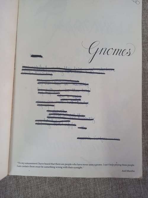 The #1 Bestseller Gnomes  - Forest Gnome