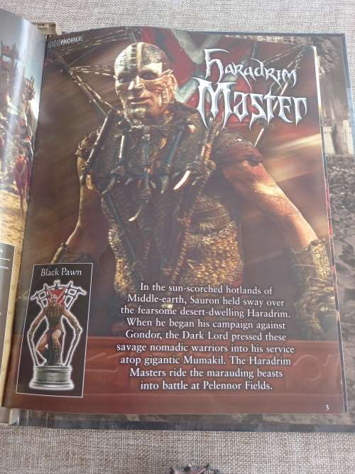 Lord of the Rings - Haradrim Master - Black Pawn - 95
