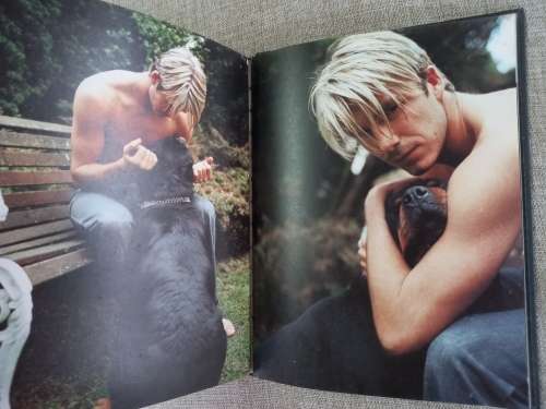 Beckham - David Beckham - My world