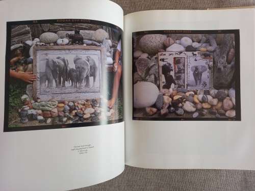 The Adventures and Misadventures of Peter Beard in Africa - Jon Bowermaster