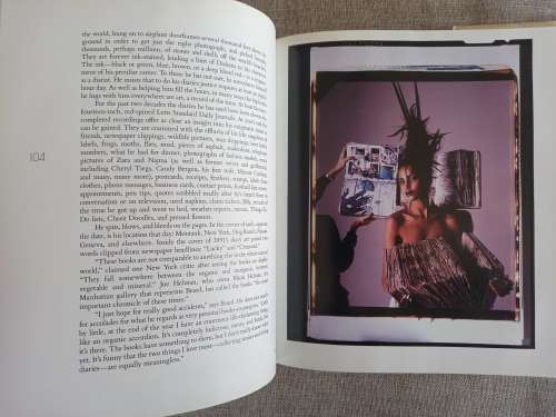 The Adventures and Misadventures of Peter Beard in Africa - Jon Bowermaster
