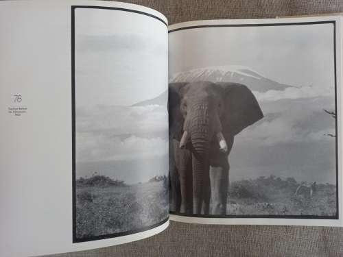 The Adventures and Misadventures of Peter Beard in Africa - Jon Bowermaster