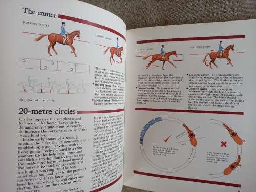 Threshold Picture Guides - Flatwork Exercises - Number 23